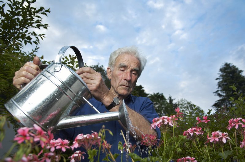 Alzheimer Angst? Diese Pflanze Reinigt Das Gehirn Und Schützt Vor Alzheimer – Einfach Und Natürlich! - y3fhu23